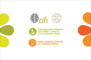 Digital Financial Services Working Group